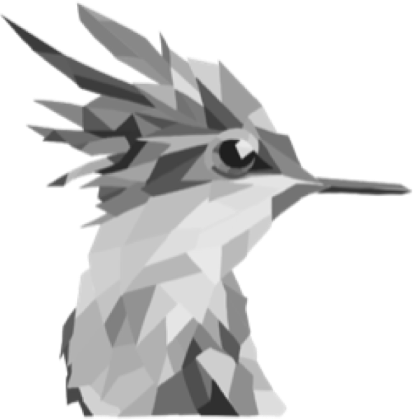Aví